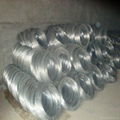 Electro/Hot Dipped Galvanized Steel Wire Factory price 3