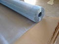 PVC Window Screen  3