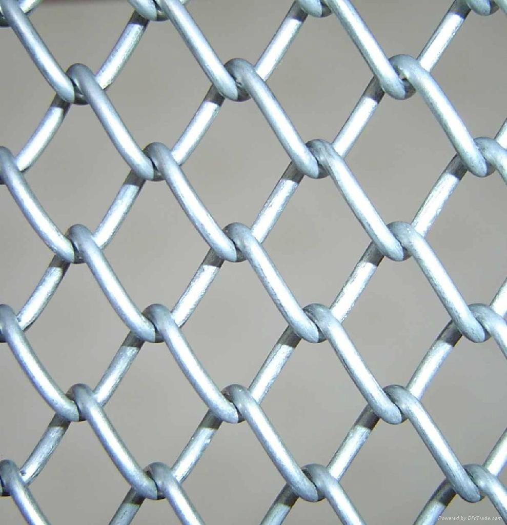 Chain Link fence 4