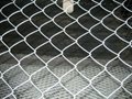 Chain Link fence 5