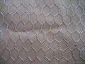 Poultry netting with Factory competitive