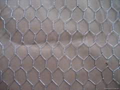 Poultry netting with Factory competitive price