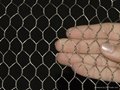 Poultry netting with Factory competitive price 2