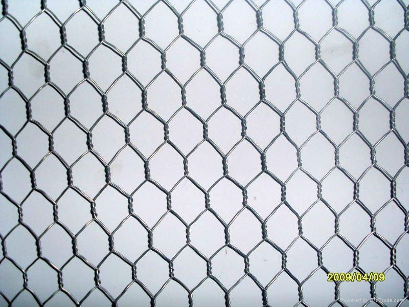 Hexagonal Galvanized Wire Mesh for Chicken Fence and Poultry Cage 2