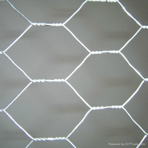 Hexagonal Wire Netting with BWG17-BWG25