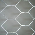 Hexagonal Wire Netting with BWG17-BWG25 1