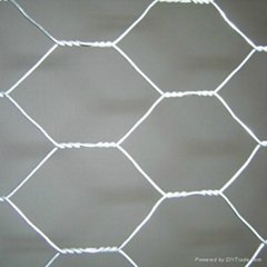 Hexagonal Wire Netting with BWG17-BWG25