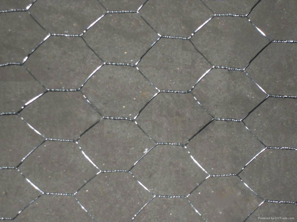 Hexagonal Wire Netting with BWG17-BWG25 2