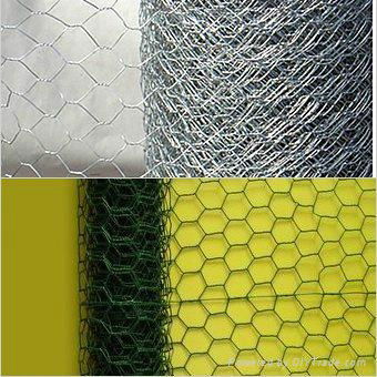 Hexagonal Wire Netting with BWG17-BWG25 5