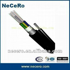 fiber optic cable 