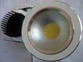 COB Downlight