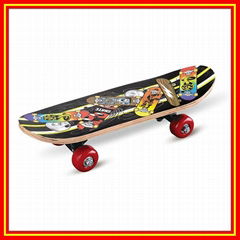 Skate board