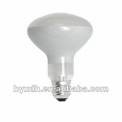 R63 220V-240V E27 frosted energy saving halogen bulb