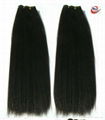 price Peruvian Hair weft 1