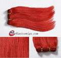 Brazilian virgin Rainbow human hair 1