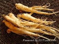 Ginseng extract