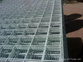 Welded wire mesh