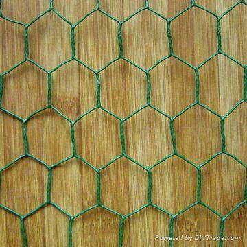 Hexagonal wire mesh