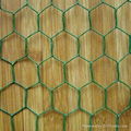 Hexagonal wire mesh 1