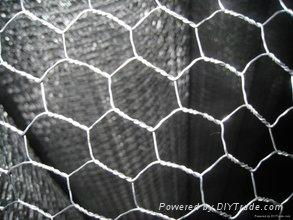 Hexagonal wire mesh 2