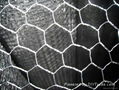 Hexagonal wire mesh 2