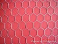 Hexagonal wire mesh 3