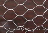 Gabion mesh 5