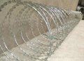 Razor barbed wire mesh 4