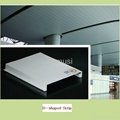 D-shaped screen aluminum strip ceiling tile