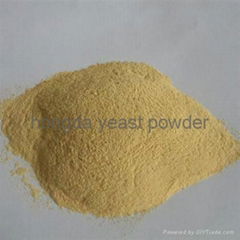 Yeast powder