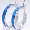  Fashionable Hoop Earrings 