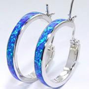 Fashionable Hoop Earrings