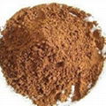 Natural cocoa powder 2