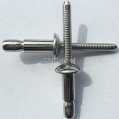 Structural blind rivet