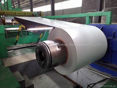 prepainted galvanized steel coil