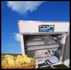 small egg incubator for chicken egg