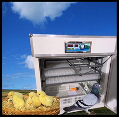quail egg incubator machine for sale with high quality
