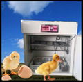 new design ostrich egg incubator for sell  1