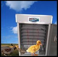 goose egg incubator machine with big discount 2