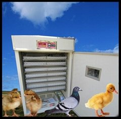 full automatic hatchery equipment for chicken egg