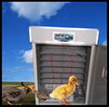 full automatic hatchery equipment for chicken egg 2