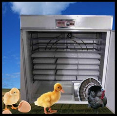 cheap egg incubator for sale