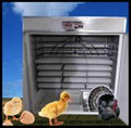 automatic chicken egg incubator hatching