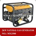  7.0HP 2.5kw natural gas generator 50/60 HZ 210cc