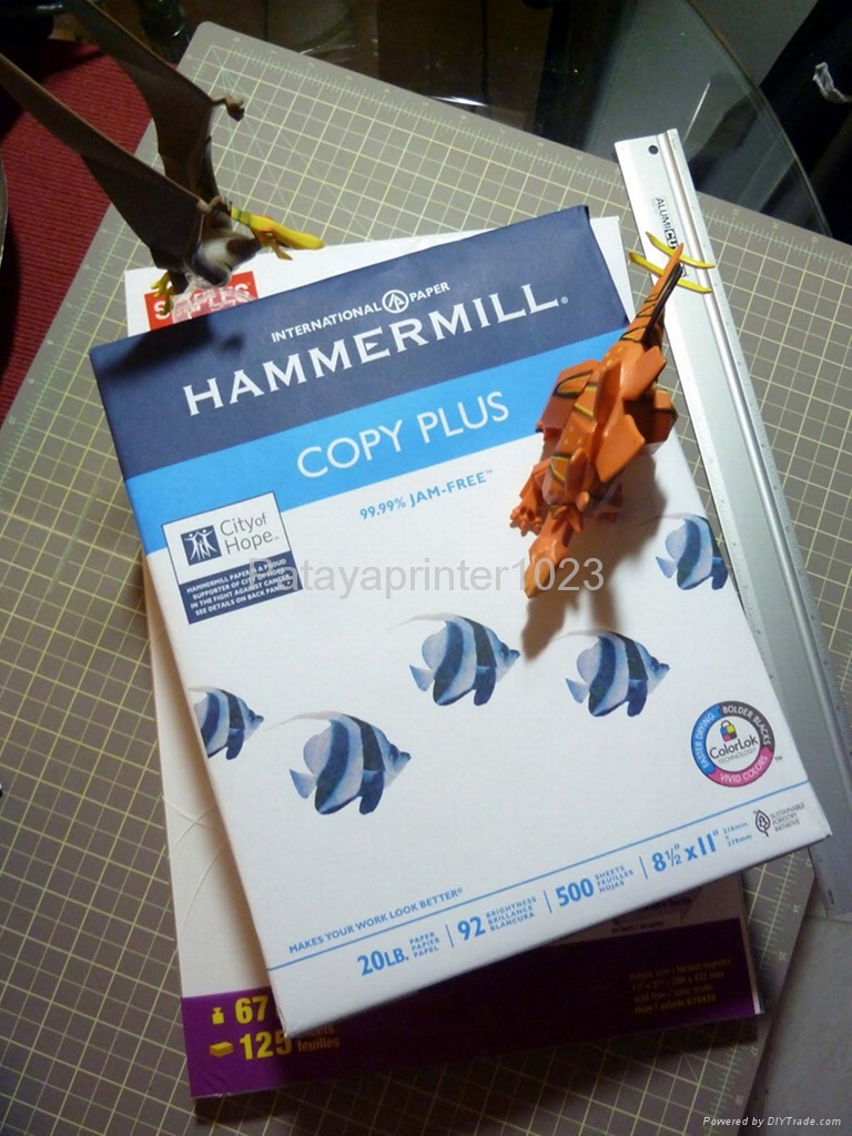 HammerMill Copy Plus Copy Paper 8.5 ich x 11 Inch per Case Copy Paper