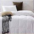 hotel 100% cotton bedding set 3