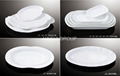 hotel ceramic dinner plates 1