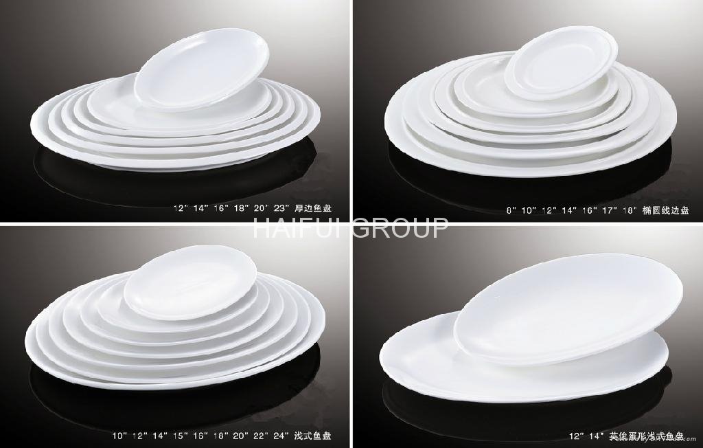 hotel ceramic dinner plates 2