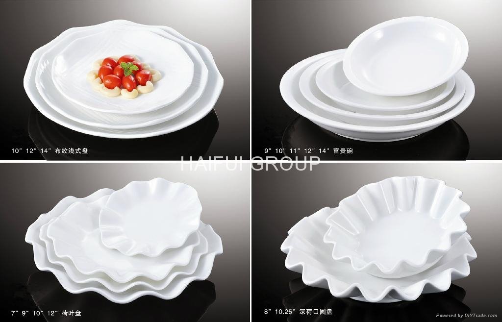 hotel ceramic dinner plates 5