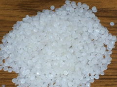 Polypropylene PP